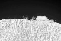DiLorenzo_looking_through_8