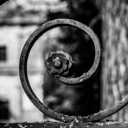 Looking Through | Fotografie di Silvana DI Lorenzo