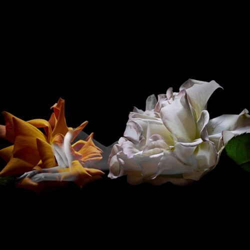 Tempi Segreti | Fotografie di Silvana Di Lorenzo